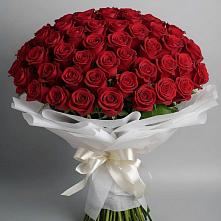 Букет 101 Красная роза Блэк Мэджик в Тюхтете