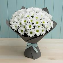 Букет цветов из:  Хризантемы #REPLACE_PRED# Тюхтете
