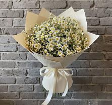 Букет цветов из:  Ромашки в Тюхтете