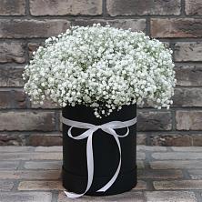 Цветочная композиция из Гипсофила в шляпной коробке в Тюхтете