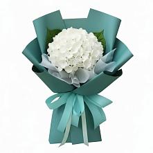 Букет цветов из:  Гортензия в Тюхтете